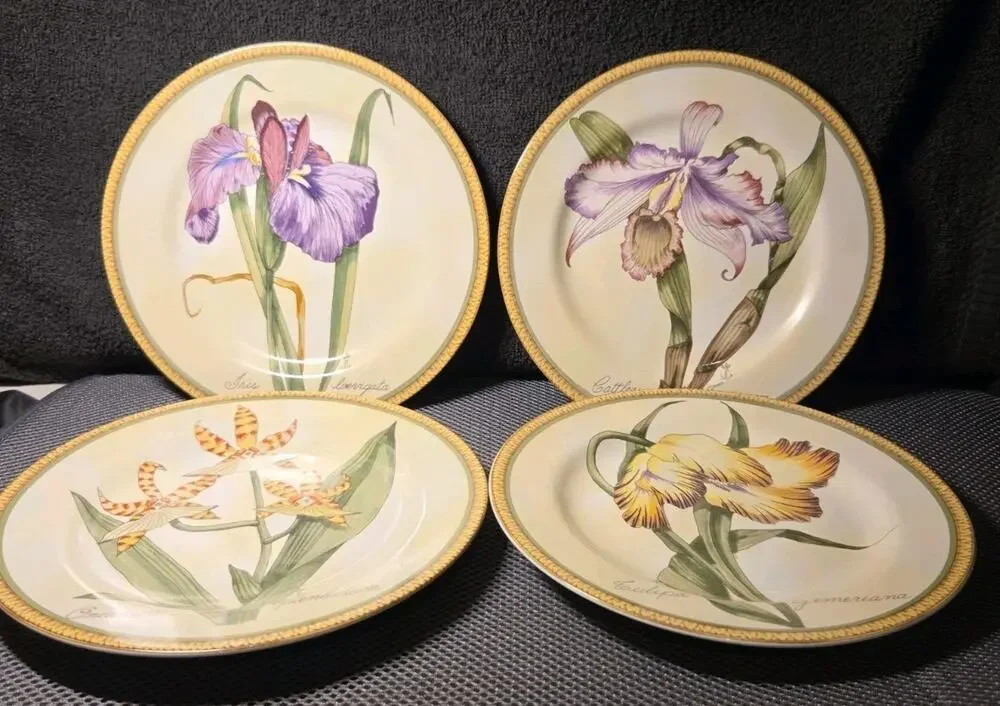 American Atelier Botanical 8 In salad/dessert plate Set Of 4